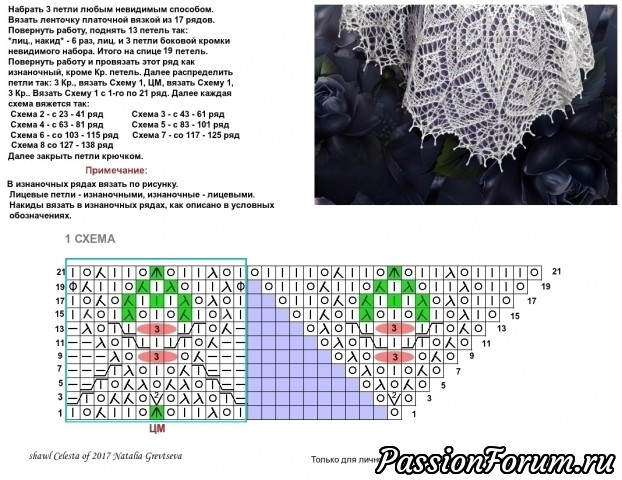 Шаль " Селеста". Начало.