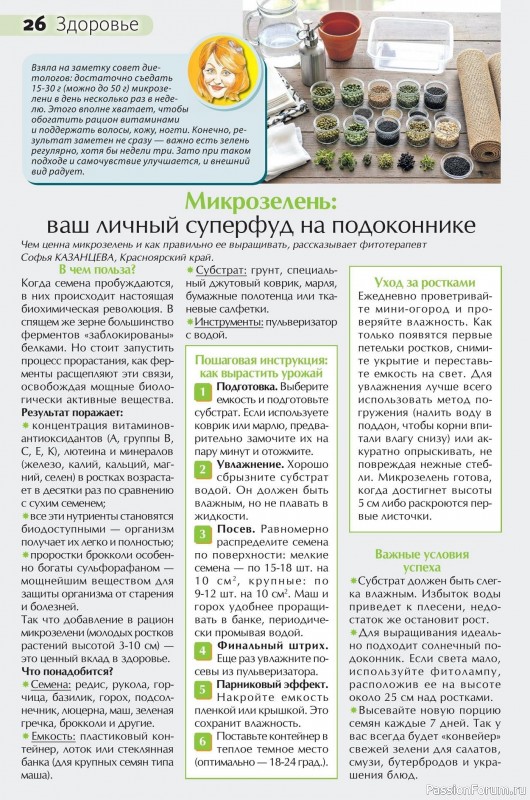 Коллекция кулинарных рецептов в журнале &laquo;Сваты на кухне №3 2026&raquo;