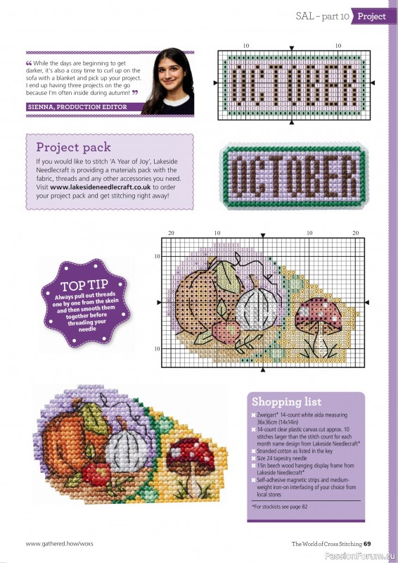 Коллекция вышивки в журнале «The World of Cross Stitching №363 2025»