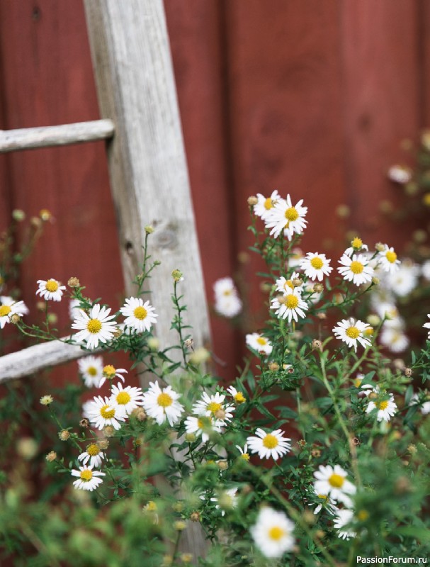 Вязаные проекты в книге &laquo;Traditions Revisited&raquo;.