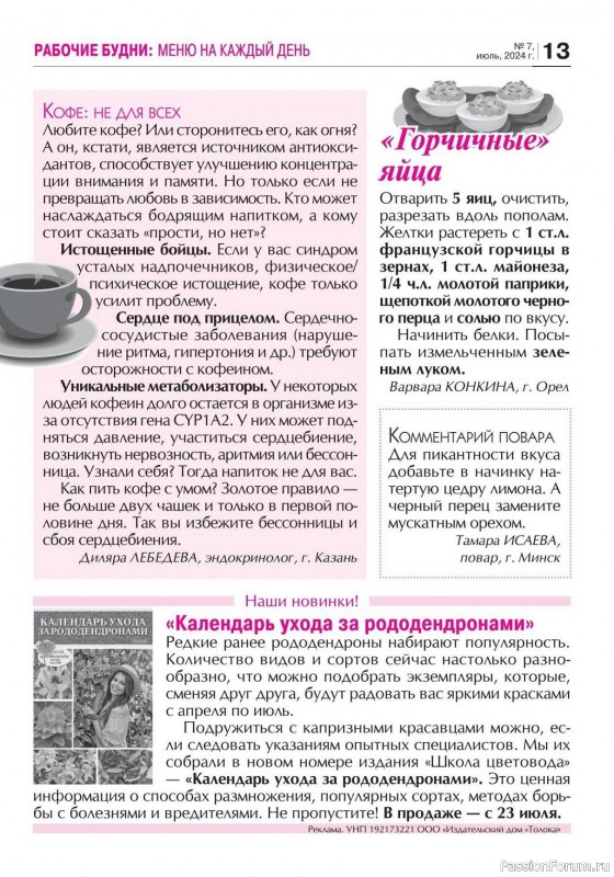 Коллекция кулинарных рецептов в журнале «Кухонька Михалыча №7 2024»