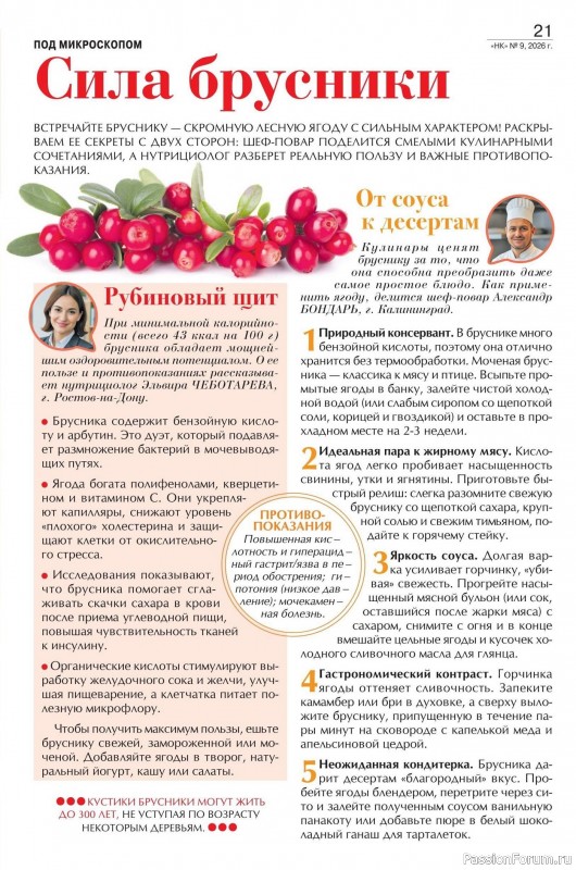 Коллекция кулинарных рецептов в журнале &laquo;Наша кухня №9 2026&raquo;