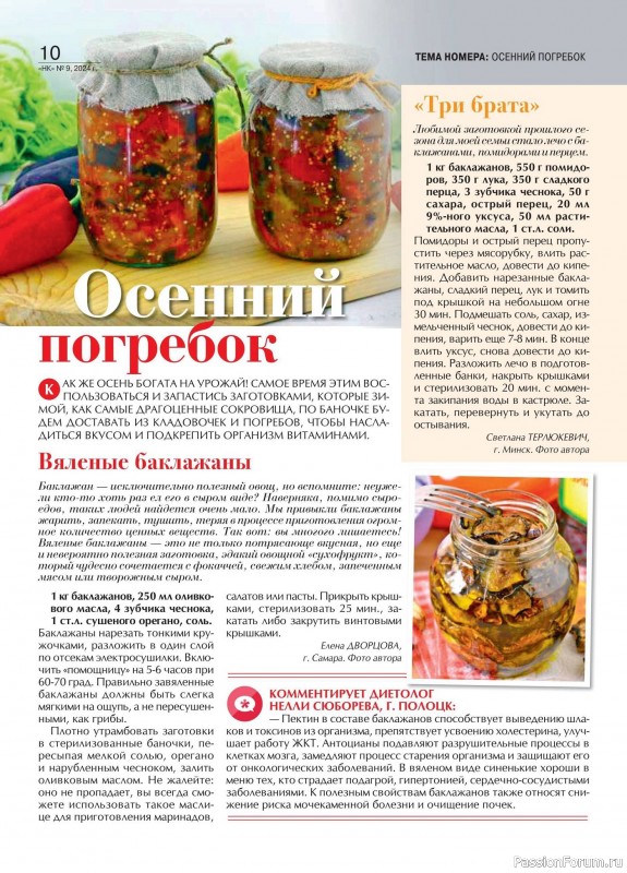 Коллекция кулинарных рецептов в журнале «Наша кухня №9 2024» Коллекция кулинарных рецептов в журнале «Наша кухня №9 2024»