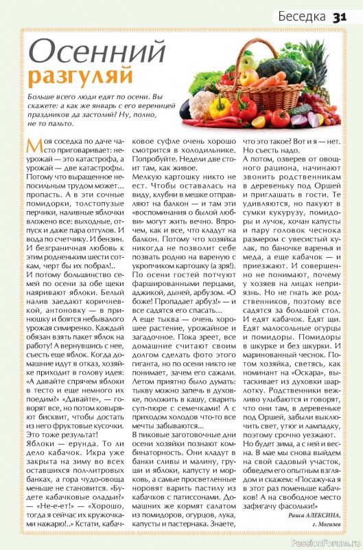 Коллекция кулинарных рецептов в журнале «Сваты на кухне №11 2025»