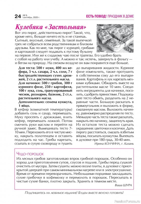 Коллекция кулинарных рецептов в журнале «Кухонька Михалыча №9 2025»