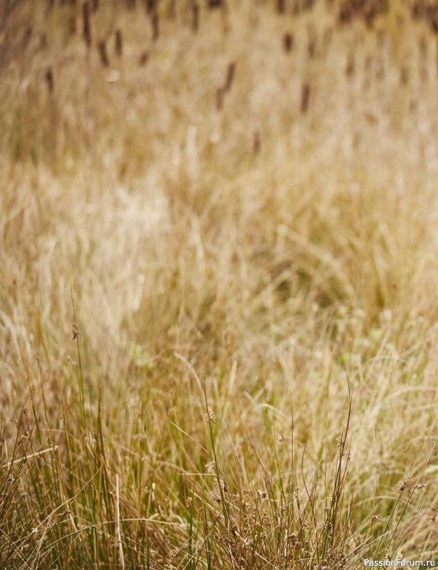 Вязаные проекты в книге «Westmorland»