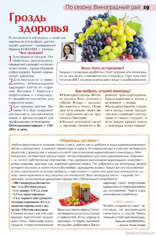 Коллекция кулинарных рецептов в журнале «Сваты на кухне №8 2026»
