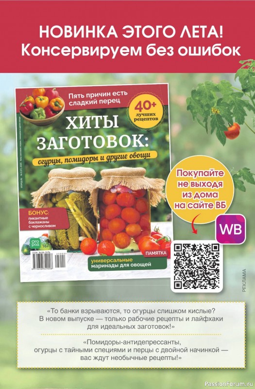 Коллекция проектов для рукодельниц в журнале «Делаем сами №17 2025»