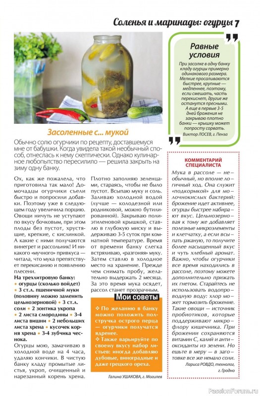 Коллекция кулинарных рецептов в журнале &laquo;Сваты. Заготовки №6 2026&raquo;