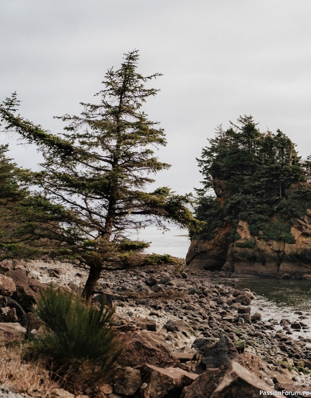 Вязаные проекты в книге «Salt & Timber». Продолжение