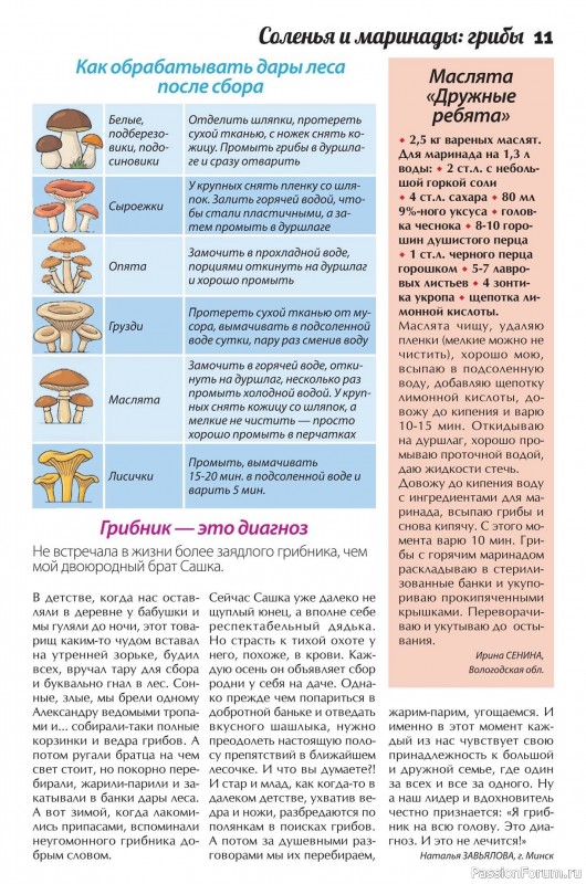 Коллекция кулинарных рецептов в журнале &laquo;Сваты. Заготовки №9 2026&raquo;