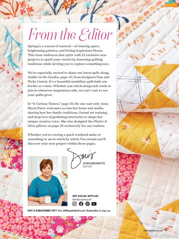 Коллекция проектов для рукодельниц в журнале &laquo;American Patchwork & Quilting №199 2026&raquo;