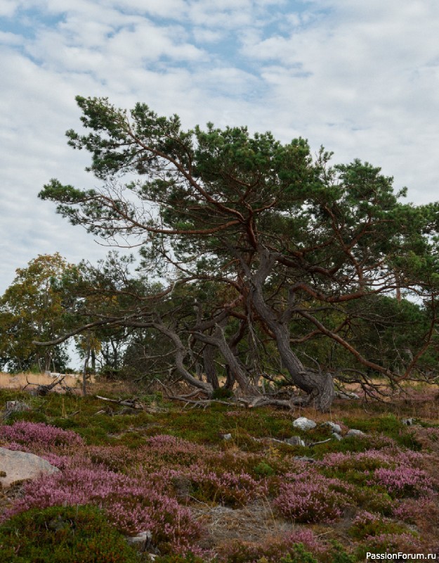 Вязаные проекты в книге «The Art of the Sea». Продолжение