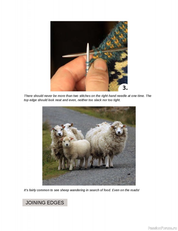 Вязаные проекты в книге «Fair Isle Knitting Tradition».