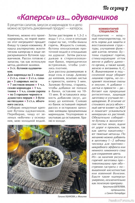 Коллекция кулинарных рецептов в журнале «Сваты. Заготовки №4 2026»