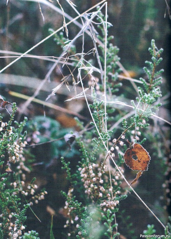 Вязаные проекты в журнале &laquo;Laine Magazine №1 2016 Autumn/Winter&raquo;.