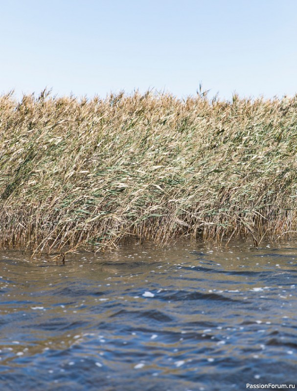 Вязаные проекты в книге &laquo;Traditions Revisited&raquo;.
