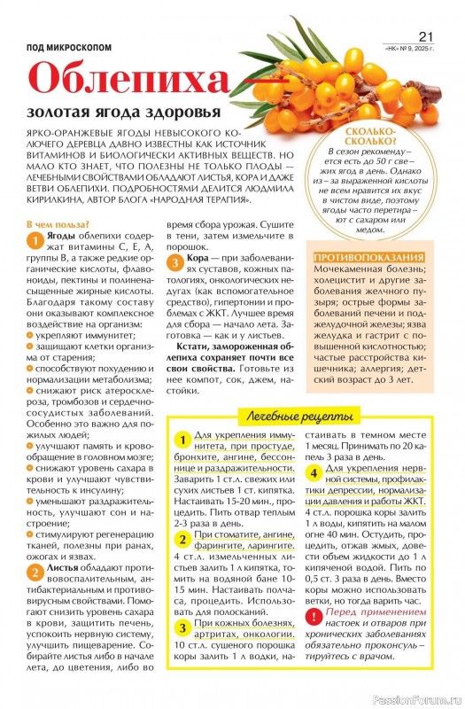 Коллекция кулинарных рецептов в журнале «Наша кухня №9 2025»