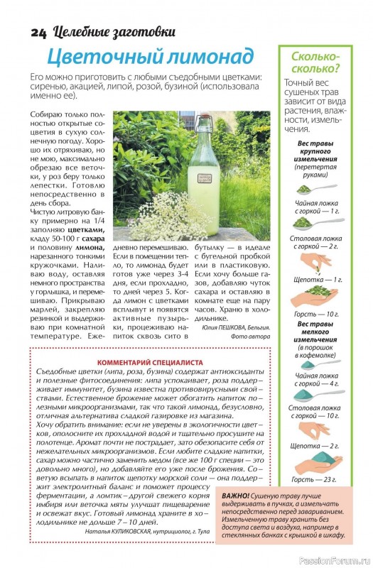 Коллекция кулинарных рецептов в журнале &laquo;Сваты. Заготовки №6 2026&raquo;