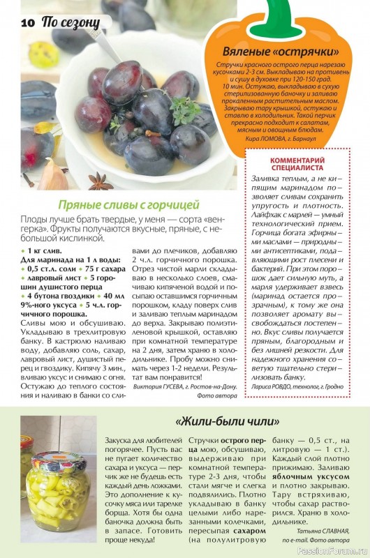 Коллекция кулинарных рецептов в журнале «Сваты. Заготовки №10 2026»