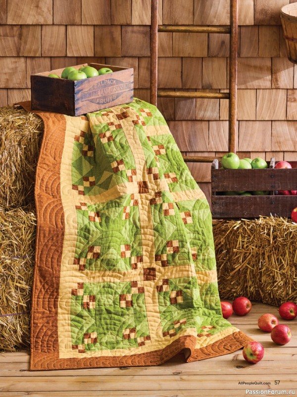 Коллекция проектов для рукодельниц в журнале «American Patchwork & Quilting №196 2025»