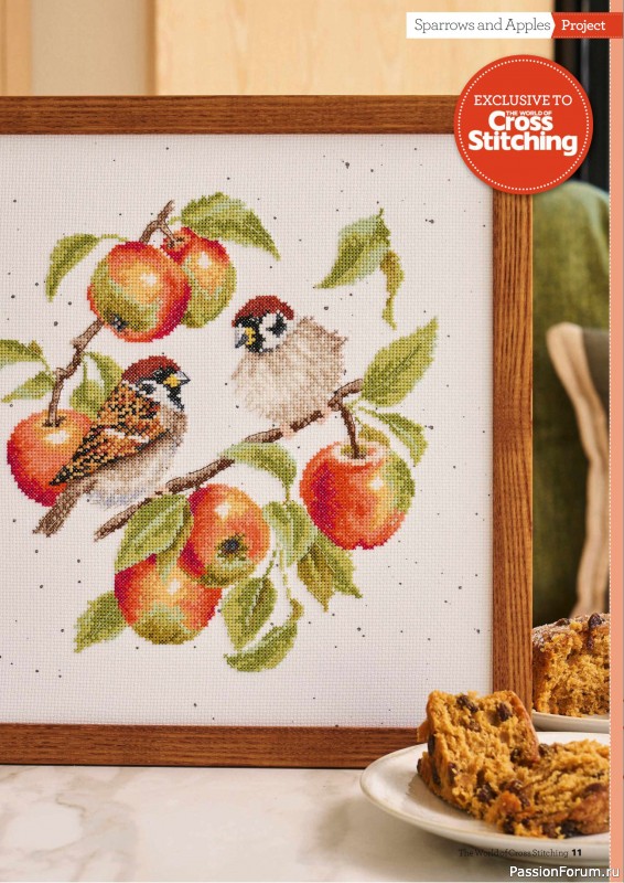 Коллекция вышивки в журнале «The World of Cross Stitching №363 2025»