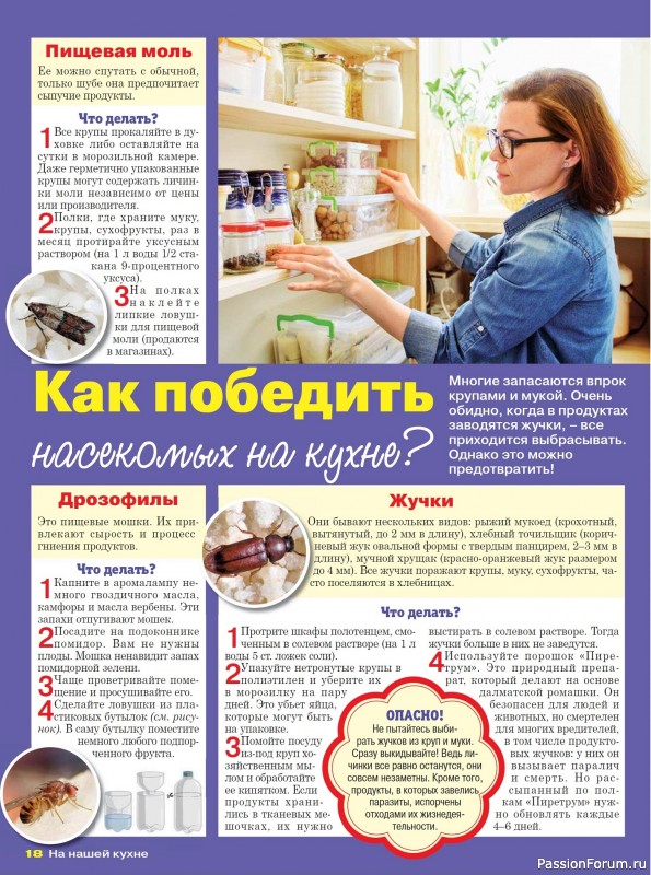 Коллекция кулинарных рецептов в журнале «На нашей кухне №4 2025»