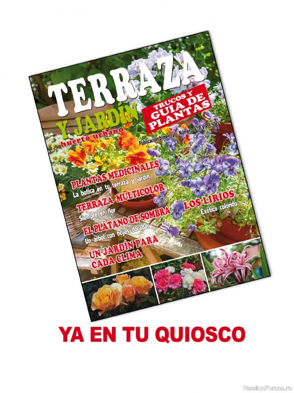 Коллекция вышивки в журнале &laquo;Especial Punto de Cruz №2 2026&raquo;