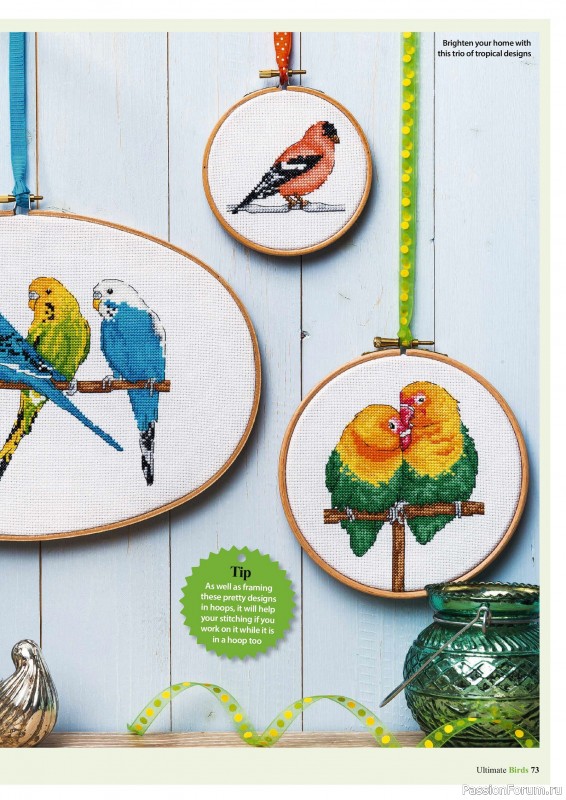 Коллекция вышивки в журнале «Cross Stitch Birds - March 2025»
