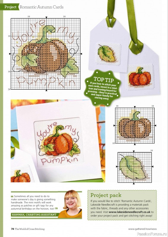 Коллекция вышивки в журнале «The World of Cross Stitching №363 2025»