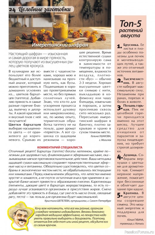 Коллекция кулинарных рецептов в журнале «Сваты. Заготовки №8 2026»