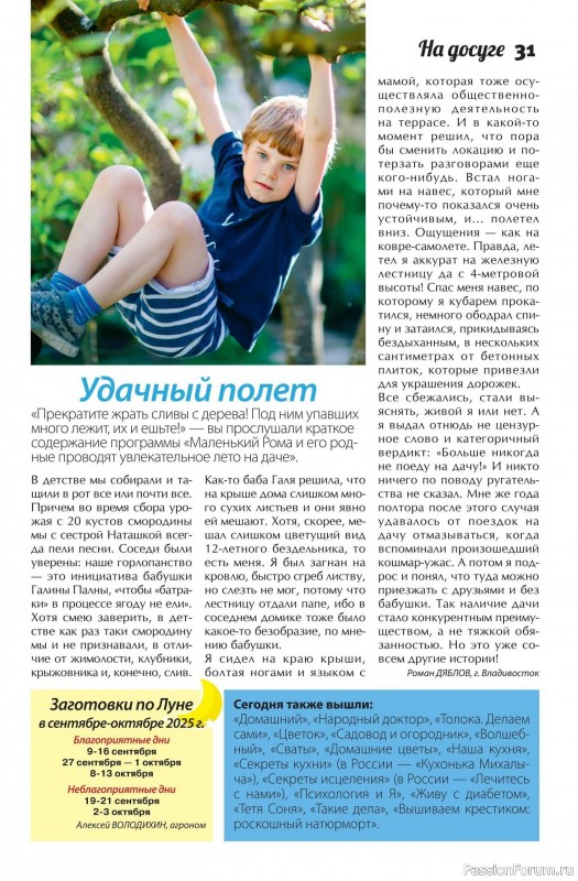 Коллекция кулинарных рецептов в журнале «Сваты. Заготовки №9 2025»