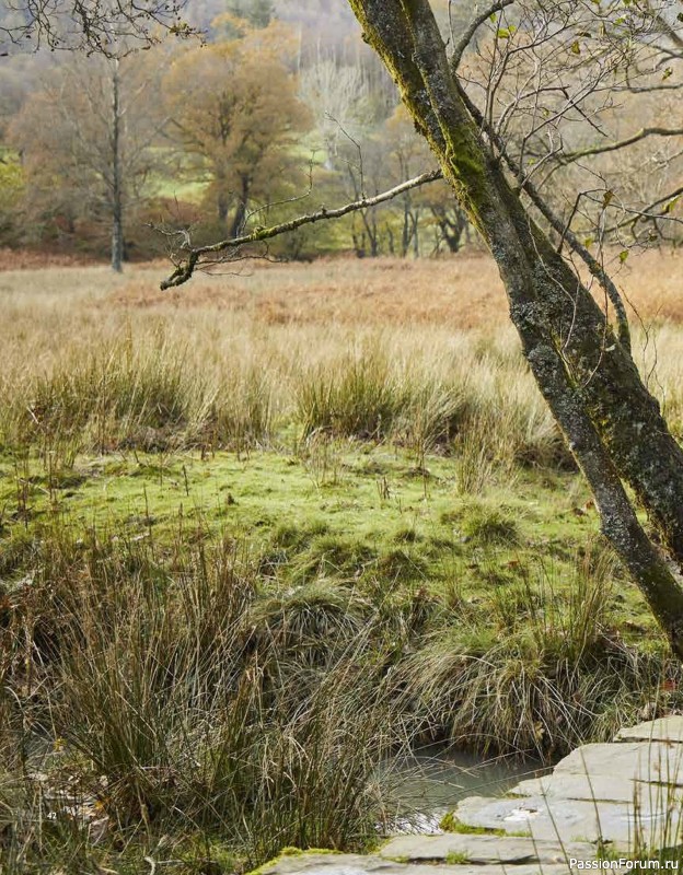 Вязаные проекты в книге «Westmorland»