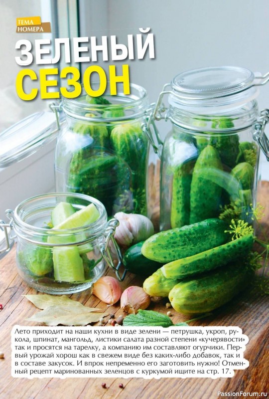 Коллекция кулинарных рецептов в журнале «Золотые рецепты наших читателей №12 2024» Коллекция кулинарных рецептов в журнале «Золотые рецепты наших читателей №12 2024»