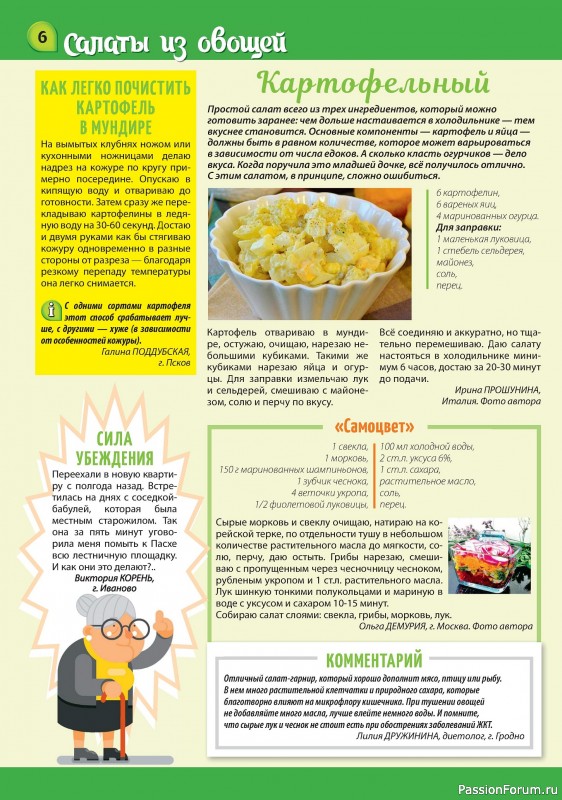 Коллекция кулинарных рецептов в журнале «Наша кухня Салаты и Закуски №4 2024»