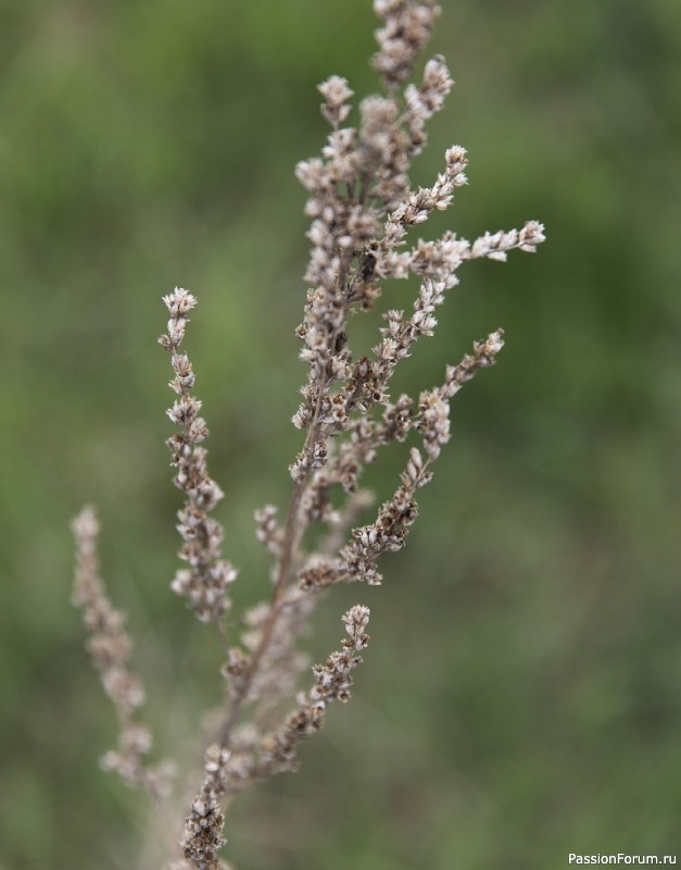 Вязаные проекты в книге &laquo;Tukubook&raquo;. Продолжение