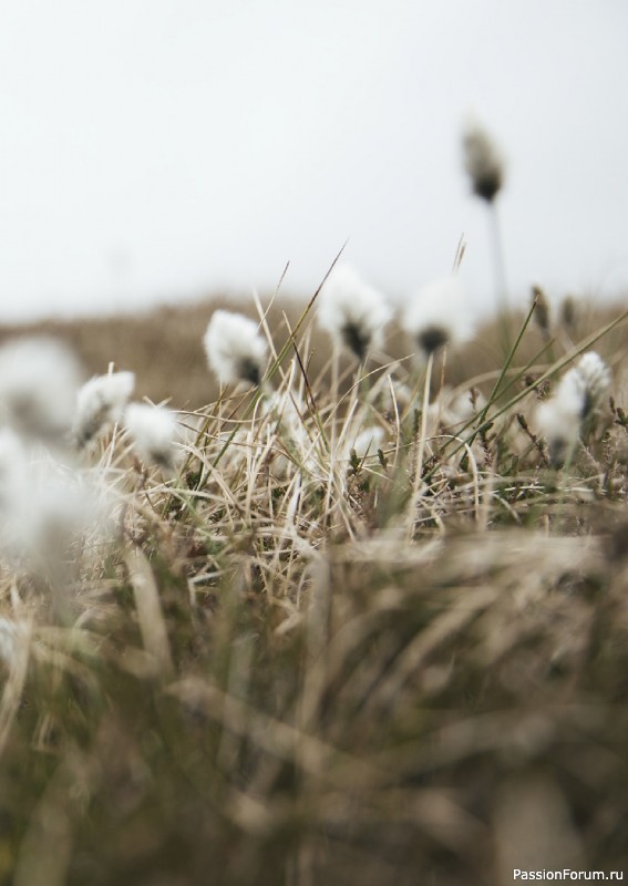 Вязаные проекты в книге «Grand Shetland Adventure Knits». Часть 1.