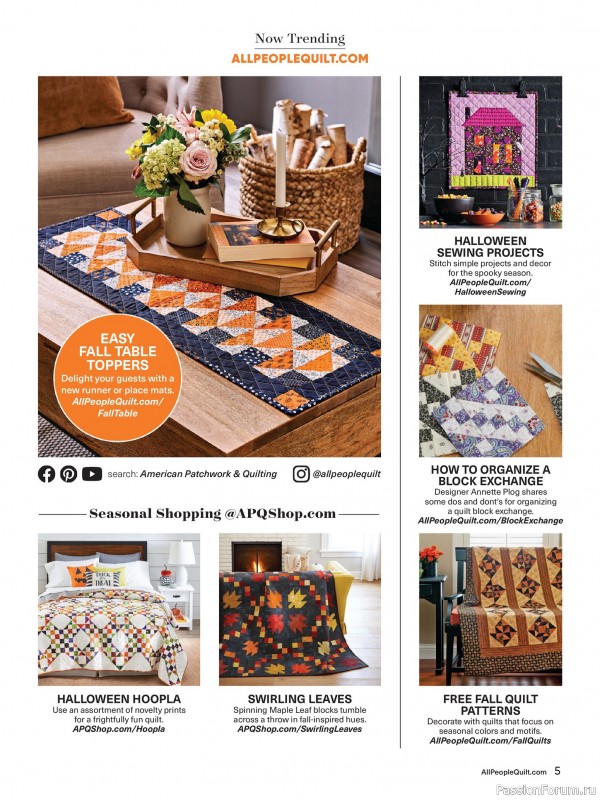 Коллекция проектов для рукодельниц в журнале «American Patchwork & Quilting №196 2025»