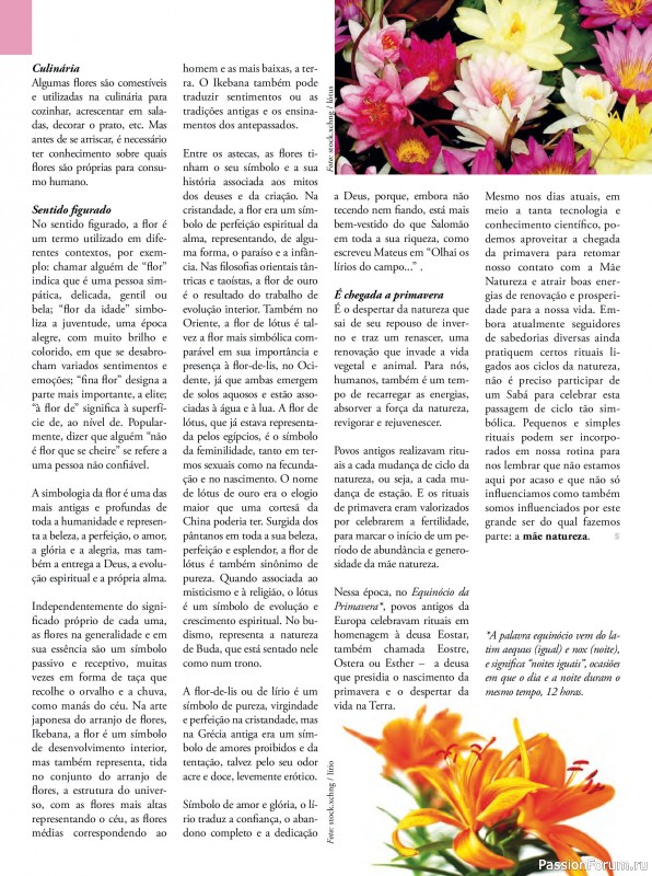 Вязаные проекты в журнале &laquo;Arte & Sustentabilidade Ed.53 2026&raquo;