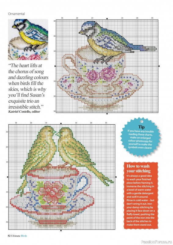 Коллекция вышивки в журнале «Cross Stitch Birds - March 2025»
