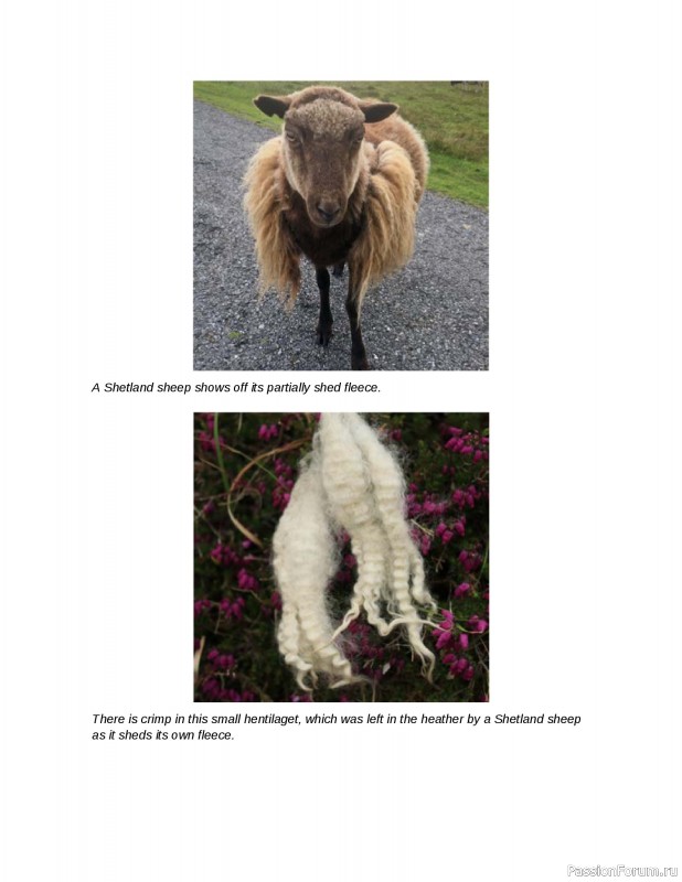 Вязаные проекты в книге «Fair Isle Knitting Tradition».