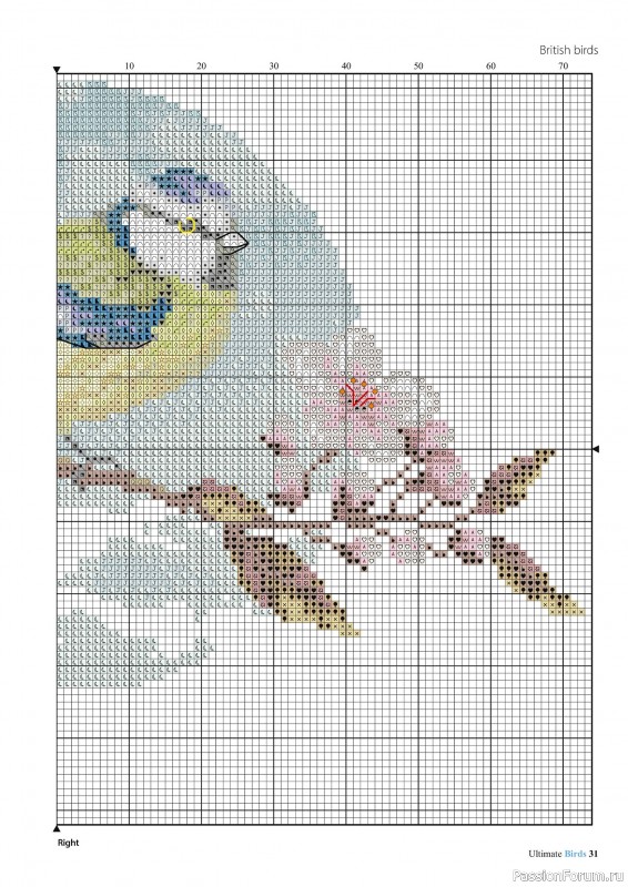 Коллекция вышивки в журнале «Cross Stitch Birds - March 2025»