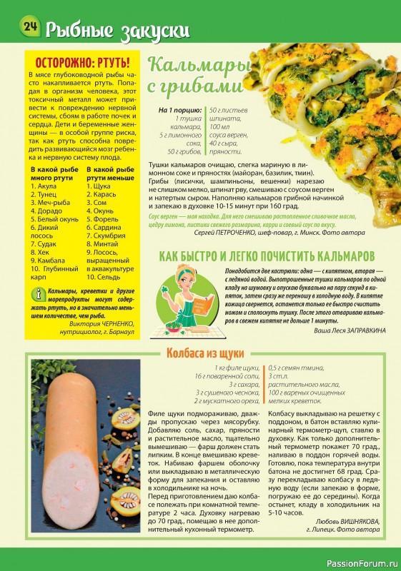 Коллекция кулинарных рецептов в журнале «Наша кухня Салаты и Закуски №2 2024»