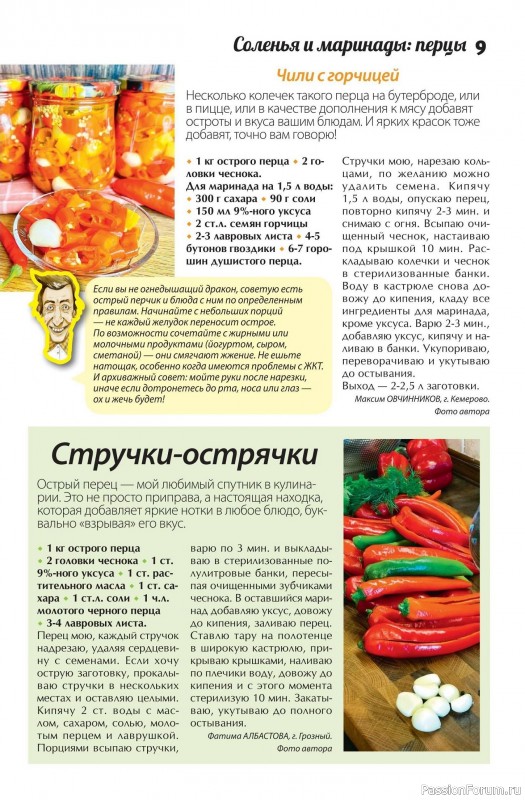 Коллекция кулинарных рецептов в журнале «Сваты. Заготовки №9 2025»