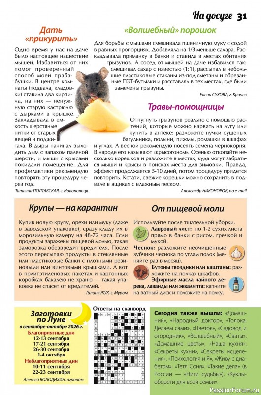 Коллекция кулинарных рецептов в журнале &laquo;Сваты. Заготовки №9 2026&raquo;