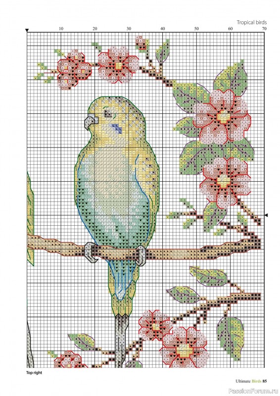 Коллекция вышивки в журнале «Cross Stitch Birds - March 2025»