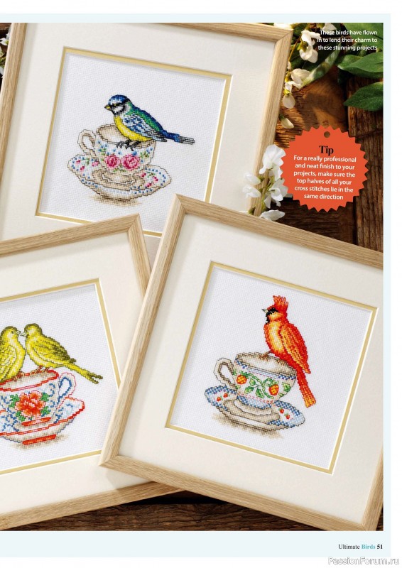 Коллекция вышивки в журнале «Cross Stitch Birds - March 2025»