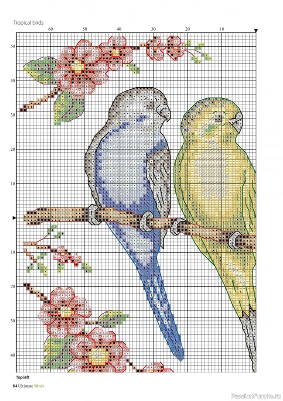Коллекция вышивки в журнале «Cross Stitch Birds - March 2025»