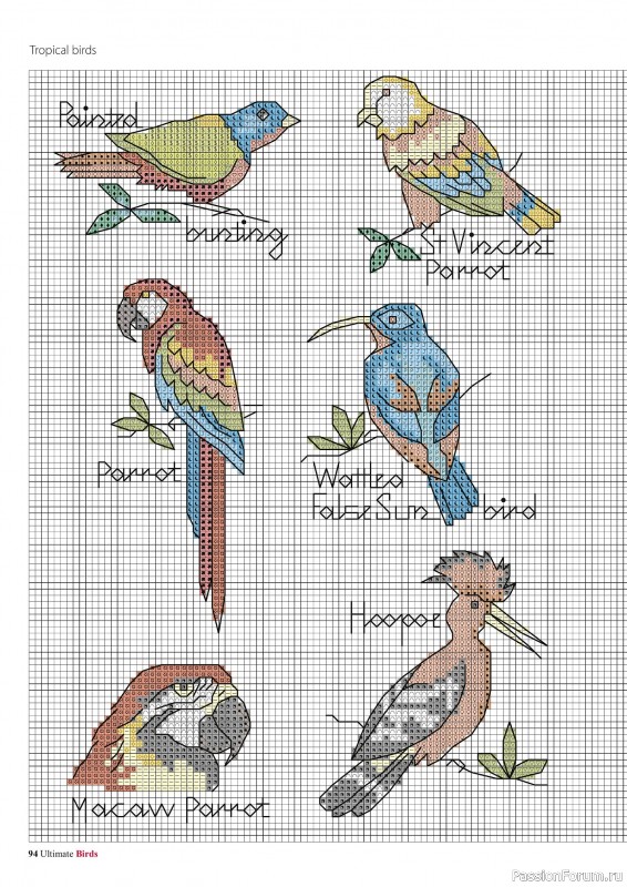 Коллекция вышивки в журнале «Cross Stitch Birds - March 2025»