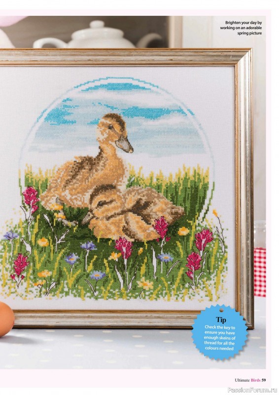 Коллекция вышивки в журнале «Cross Stitch Birds - March 2025»